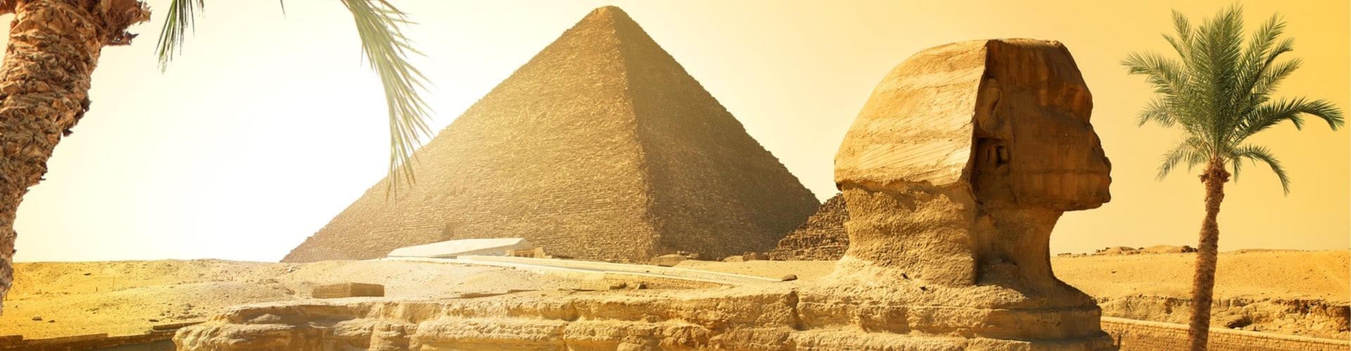 Palms near sphinx and pyramid in egyptian desert (Resized)